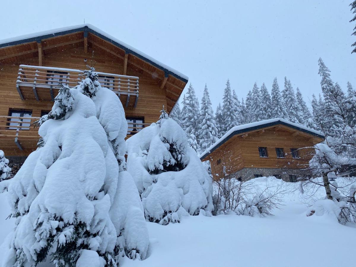 Petr - Spindleruv Mlyn Apartment